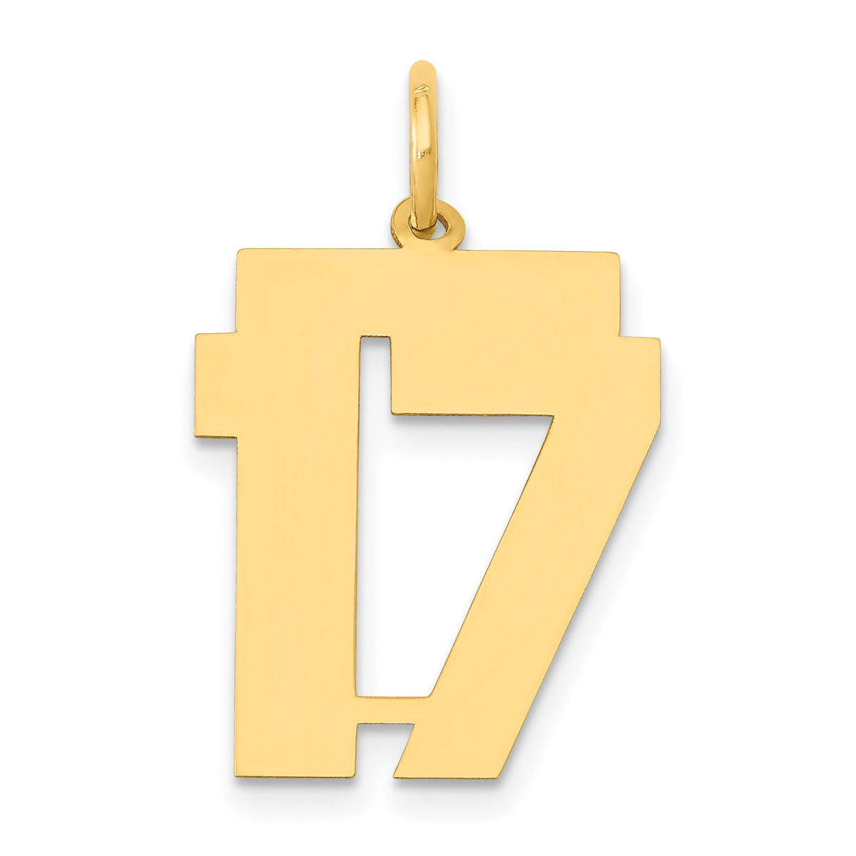 14k Medium Polished Number 17 Charm-LM17