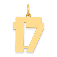 14k Medium Polished Number 17 Charm-LM17