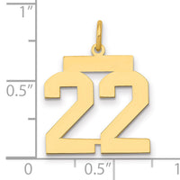 14k Medium Polished Number 22 Charm-LM22