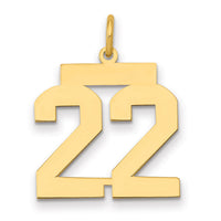 14k Medium Polished Number 22 Charm-LM22