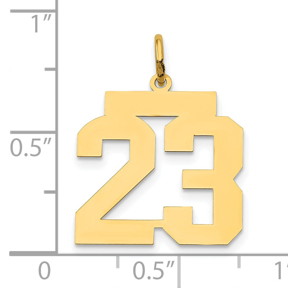 14k Medium Polished Number 23 Charm-LM23