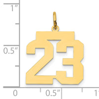 14k Medium Polished Number 23 Charm-LM23