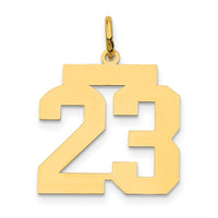 14k Medium Polished Number 23 Charm-LM23