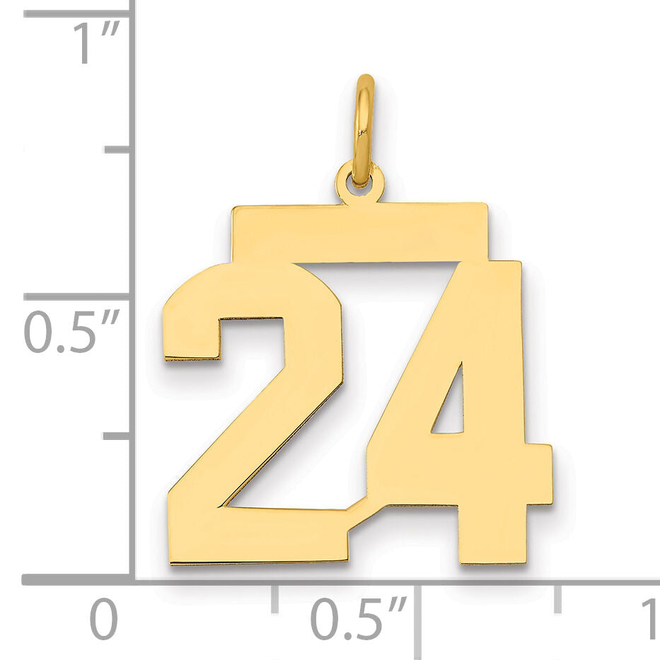 14k Medium Polished Number 24 Charm-LM24