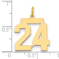 14k Medium Polished Number 24 Charm-LM24