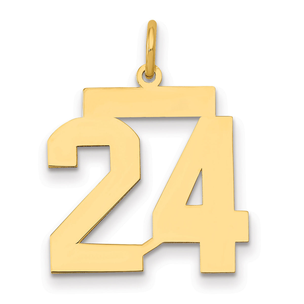 14k Medium Polished Number 24 Charm-LM24