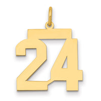 14k Medium Polished Number 24 Charm-LM24