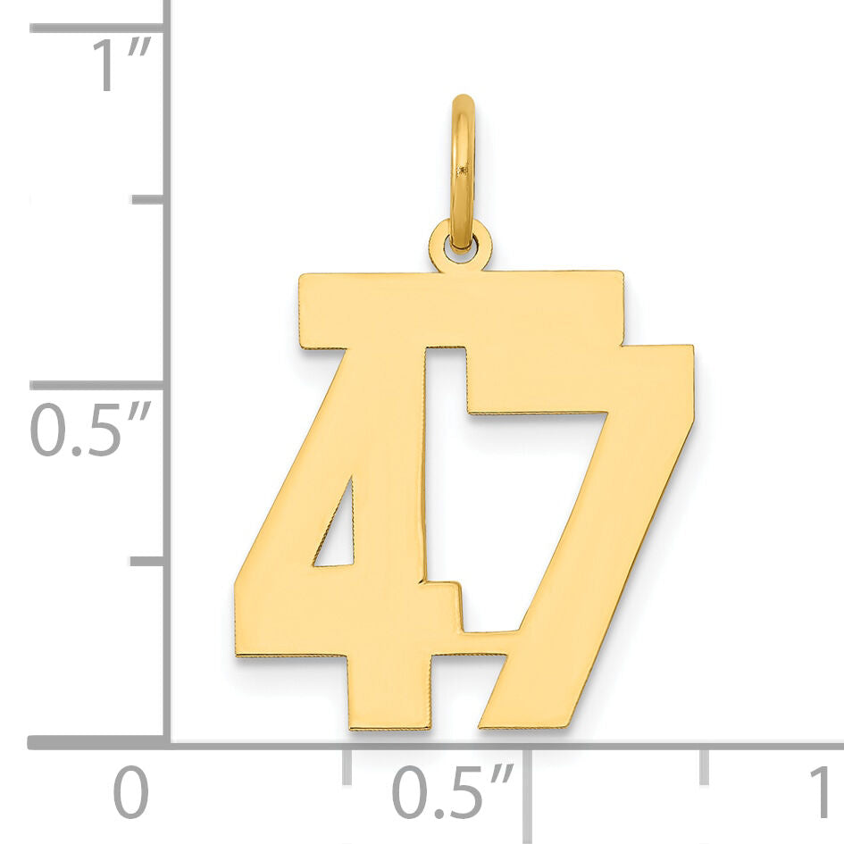 14k Medium Polished Number 47 Charm-LM47