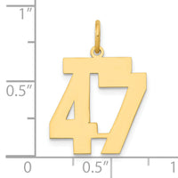 14k Medium Polished Number 47 Charm-LM47