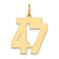 14k Medium Polished Number 47 Charm-LM47