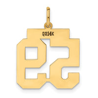 14k Medium Polished Number 59 Charm-LM59