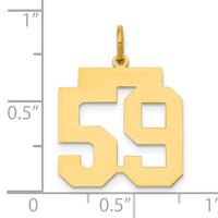 14k Medium Polished Number 59 Charm-LM59