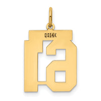 14k Medium Polished Number 61 Charm-LM61
