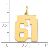 14k Medium Polished Number 61 Charm-LM61