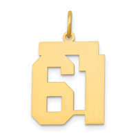 14k Medium Polished Number 61 Charm-LM61