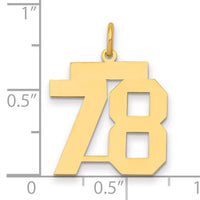 14k Medium Polished Number 78 Charm-LM78