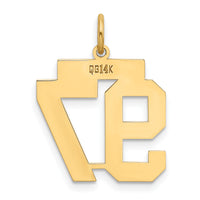 14k Medium Polished Number 97 Charm-LM97