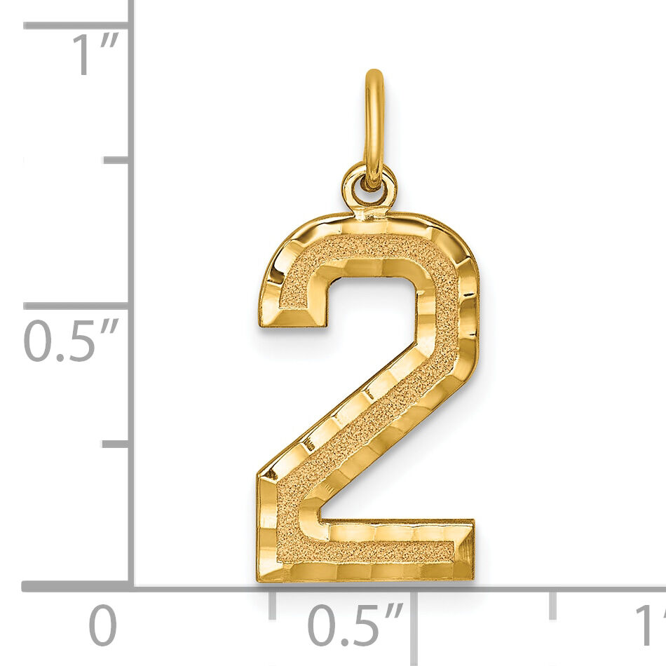 14k Large Brushed Diamond-cut Number 2 Charm-LN02