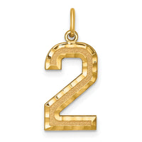 14k Large Brushed Diamond-cut Number 2 Charm-LN02