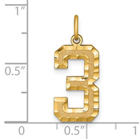 14k Large Brushed Diamond-cut Number 3 Charm-LN03