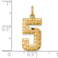 14k Large Brushed Diamond-cut Number 5 Charm-LN05