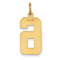 14k Large Brushed Diamond-cut  Number 6 Charm-LN06