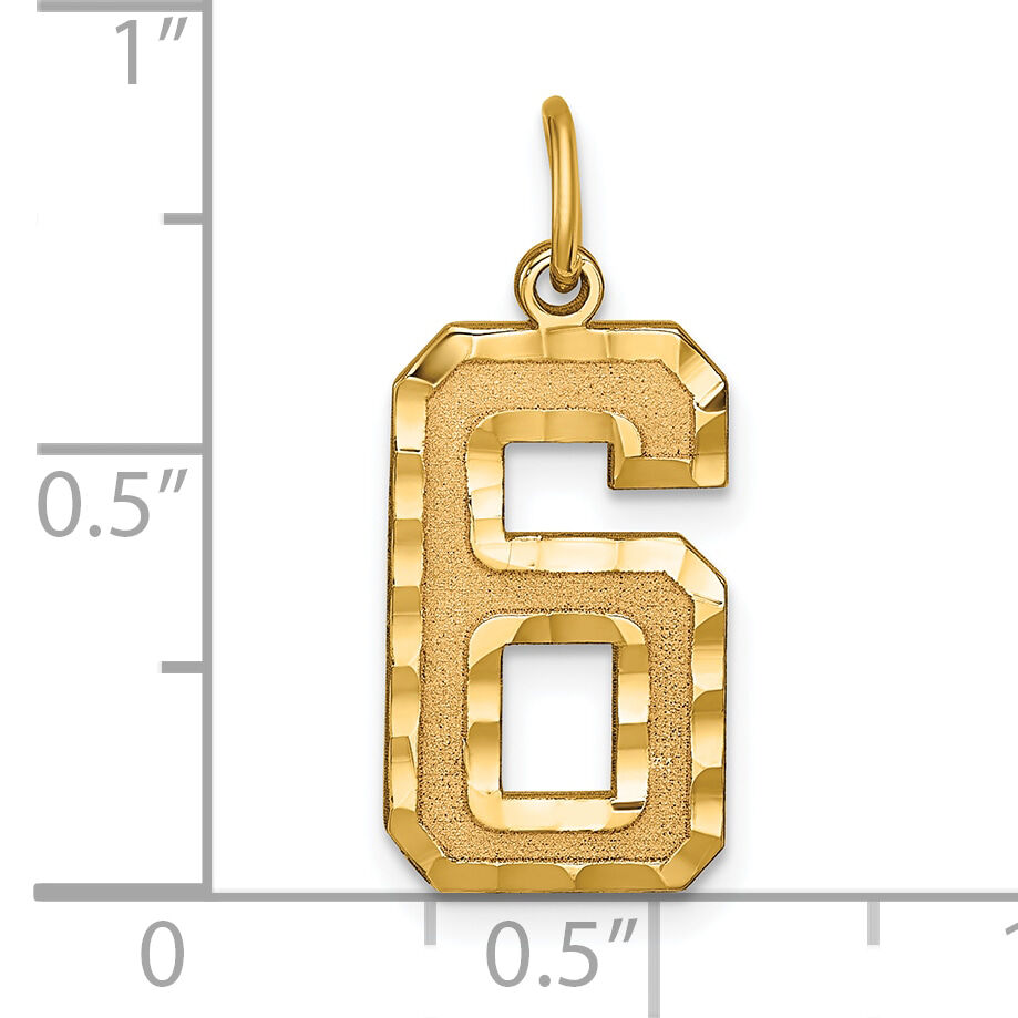 14k Large Brushed Diamond-cut  Number 6 Charm-LN06