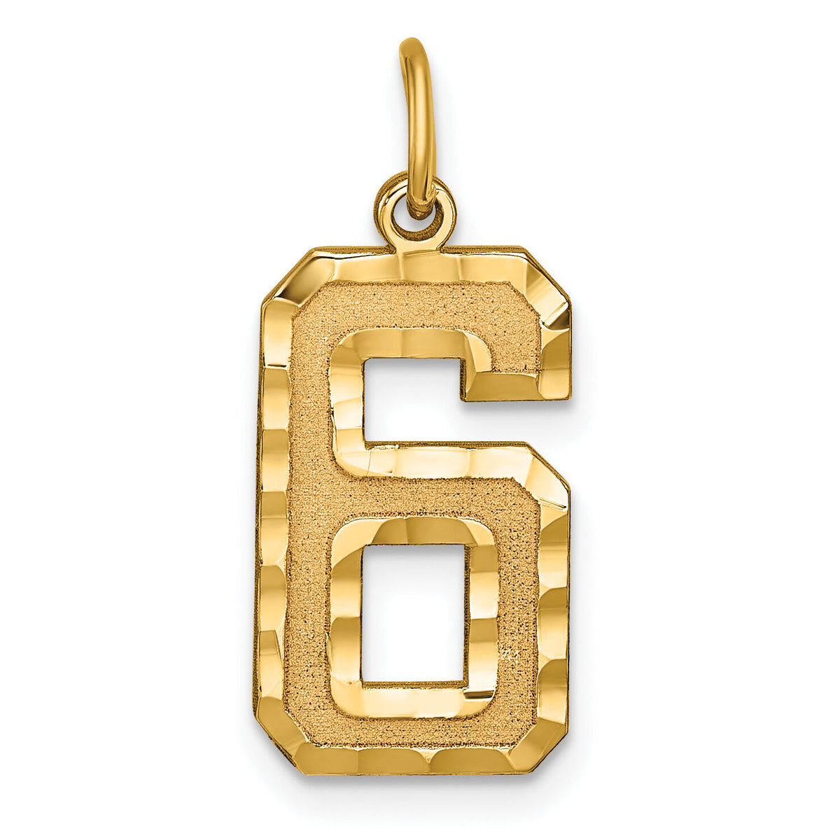 14k Large Brushed Diamond-cut  Number 6 Charm-LN06