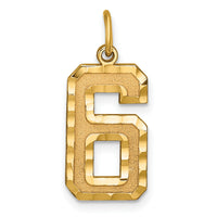 14k Large Brushed Diamond-cut  Number 6 Charm-LN06