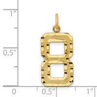 14k Large Brushed Diamond-cut  Number 8 Charm-LN08
