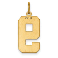 14k Large Brushed Diamond-cut  Number 9 Charm-LN09