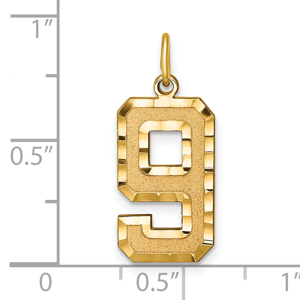 14k Large Brushed Diamond-cut  Number 9 Charm-LN09