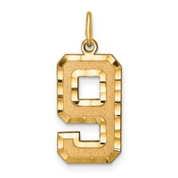 14k Large Brushed Diamond-cut  Number 9 Charm-LN09