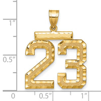 14k Large Brushed Diamond-cut Number 23 Charm-LN23
