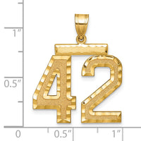 14k Large Brushed Diamond-cut Number 42 Charm-LN42