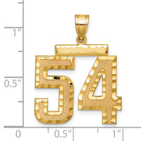 14k Large Brushed Diamond-cut Number 54 Charm-LN54