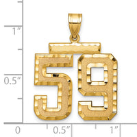 14k Large Brushed Diamond-cut Number 59 Charm-LN59
