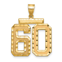 14k Large Brushed Diamond-cut Number 60 Charm-LN60