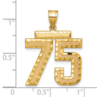 14k Large Brushed Diamond-cut Number 75 Charm-LN75