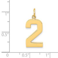 14k  Large Polished Number 2 Charm-LP02