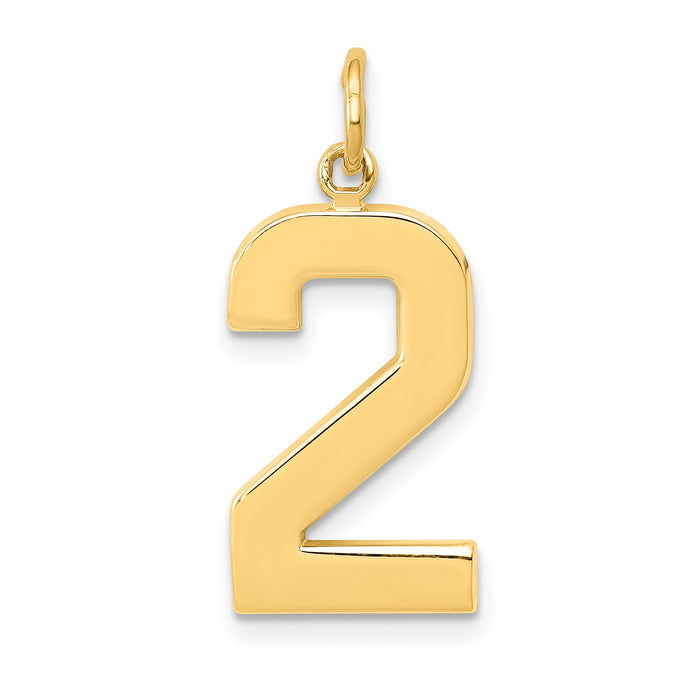 14k  Large Polished Number 2 Charm-LP02