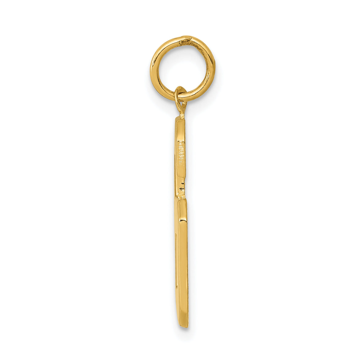 14k  Large Polished Number 6 Charm-LP06