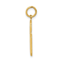 14k  Large Polished Number 6 Charm-LP06