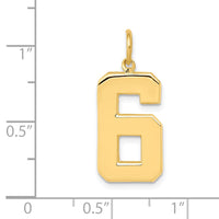 14k  Large Polished Number 6 Charm-LP06