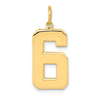 14k  Large Polished Number 6 Charm-LP06