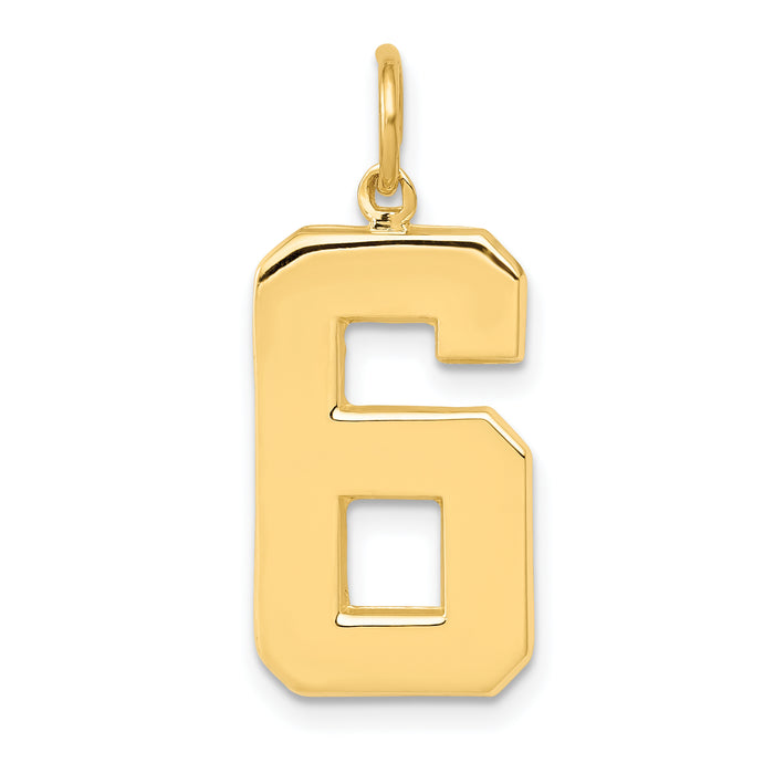 14k  Large Polished Number 6 Charm-LP06
