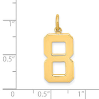 14k  Large Polished Number 8 Charm-LP08