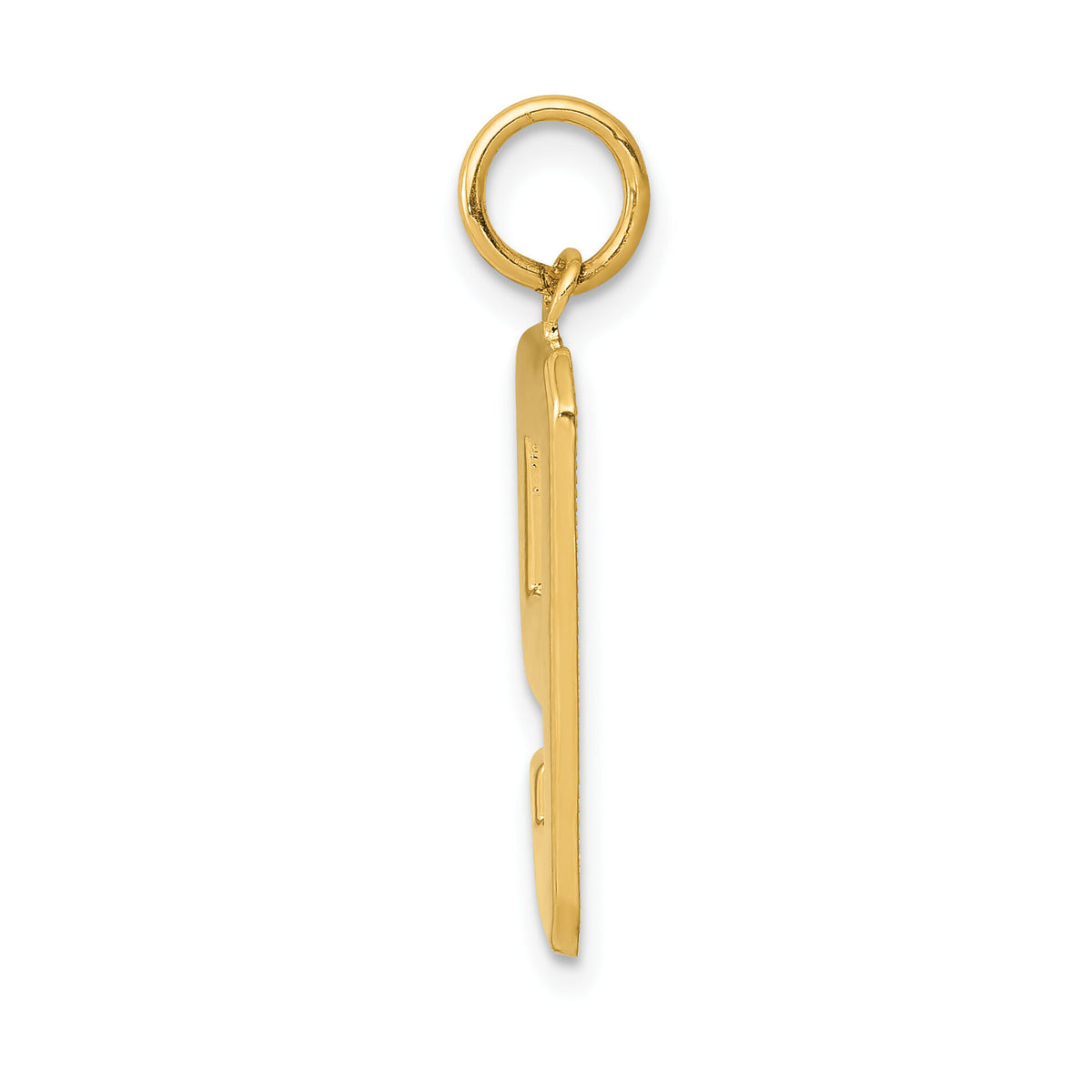 14k  Large Polished Number 9 Charm-LP09