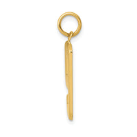 14k  Large Polished Number 9 Charm-LP09