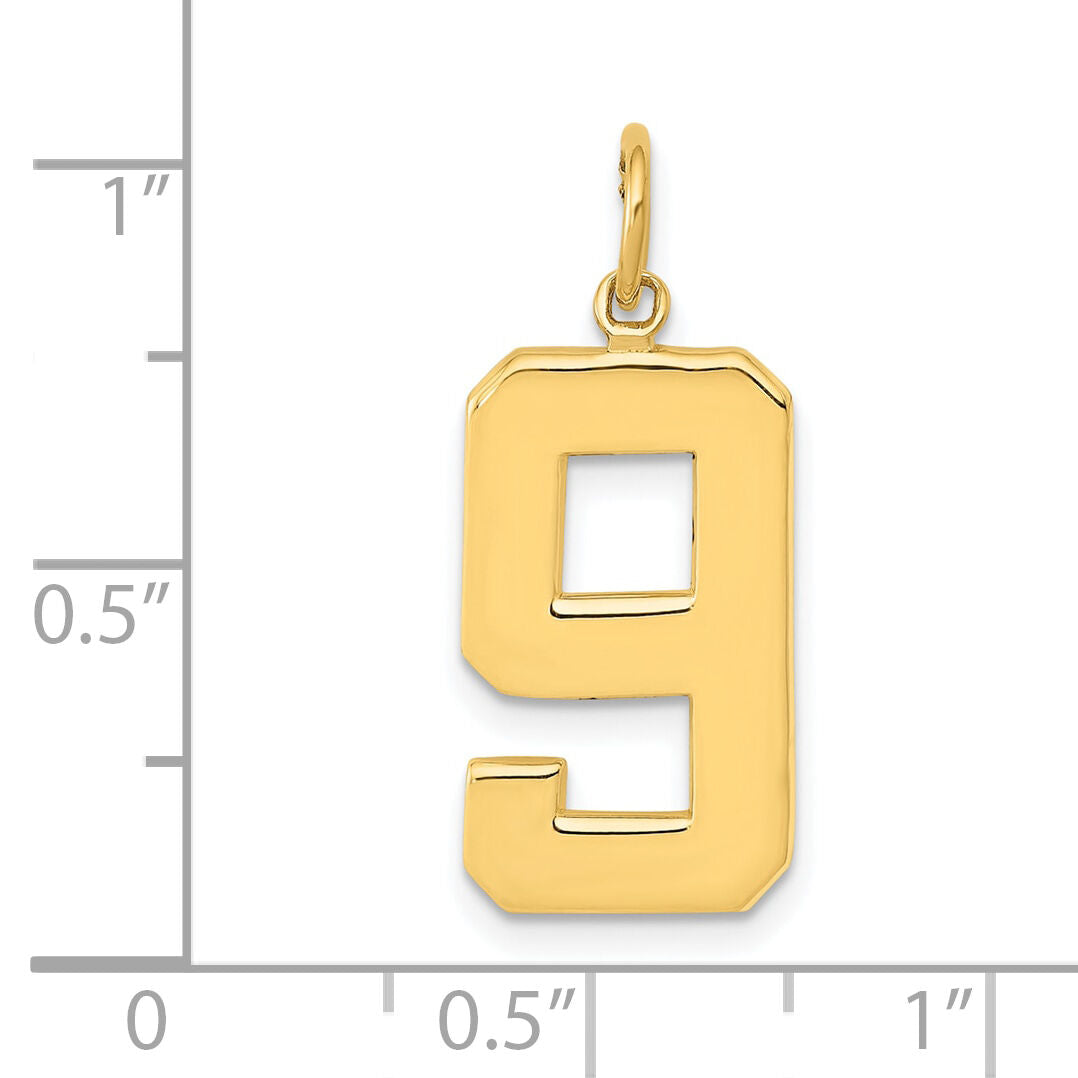 14k  Large Polished Number 9 Charm-LP09